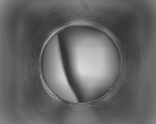 X0000081351008200701111101