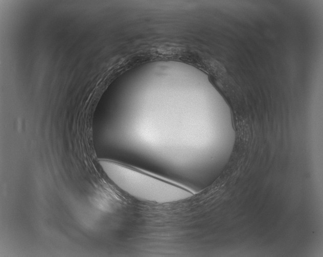 X0000081351009200701111100