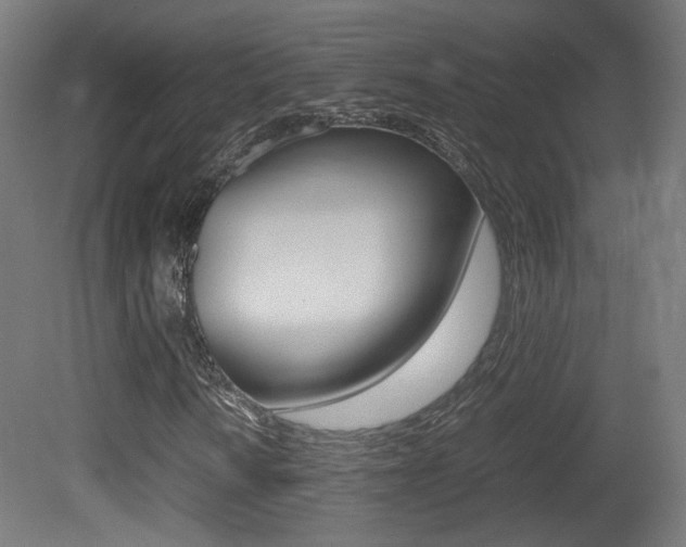 X0000081351010200701111100