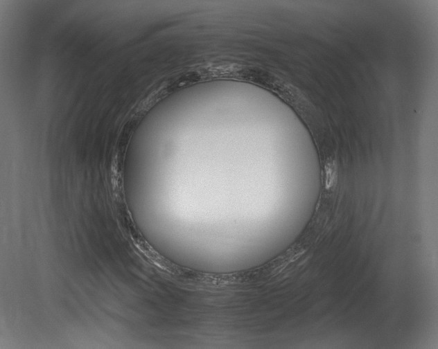 X0000081351011200701111100