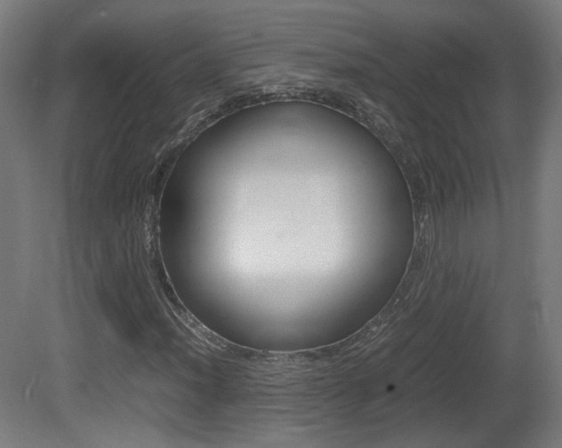 X0000081351012200701111100