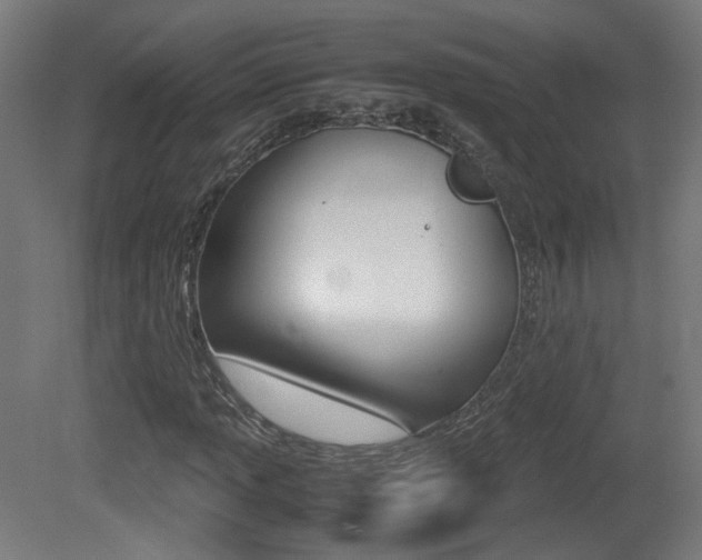 X0000081351013200701111100