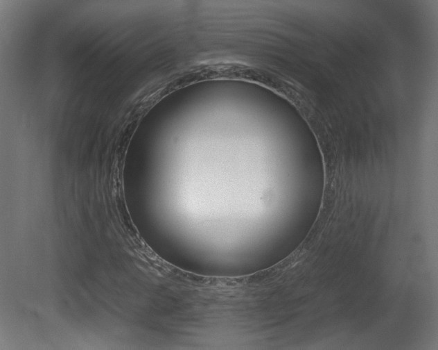 X0000081351014200701111100