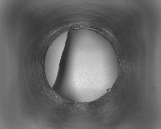 X0000081351015200701111100