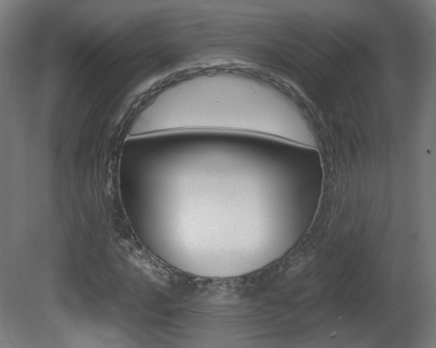 X0000081351016200701111100