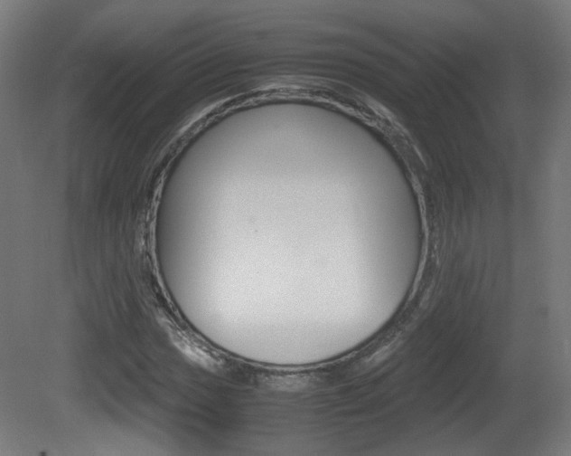 X0000081351017200701111100