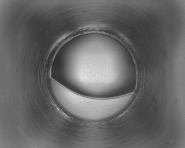 X0000081351018200701111100