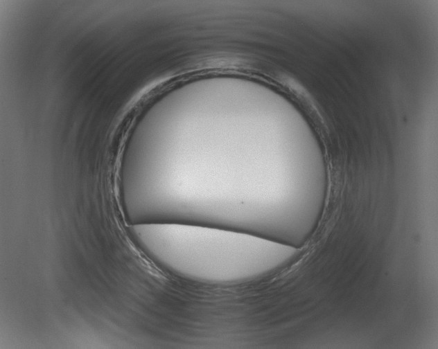 X0000081351019200701111100