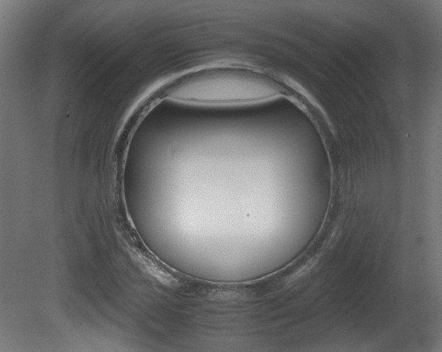 X0000081351021200701111100