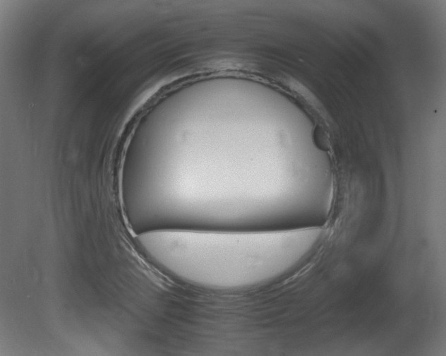 X0000081351023200701111100