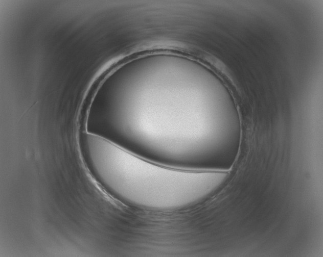 X0000081351024200701111100