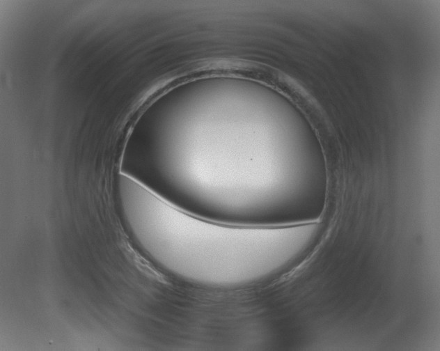 X0000081351025200701111100