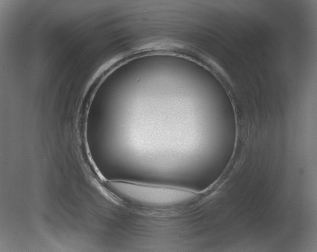 X0000081351026200701111100