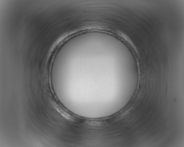 X0000081351027200701111100