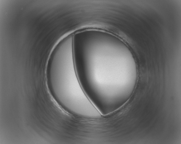 X0000081351028200701111100