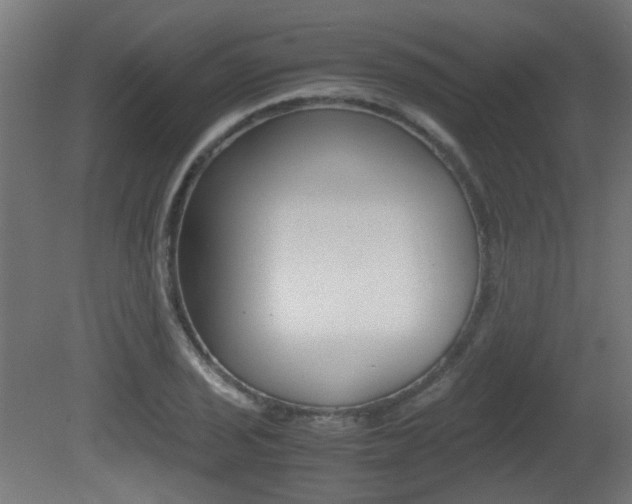 X0000081351029200701111100