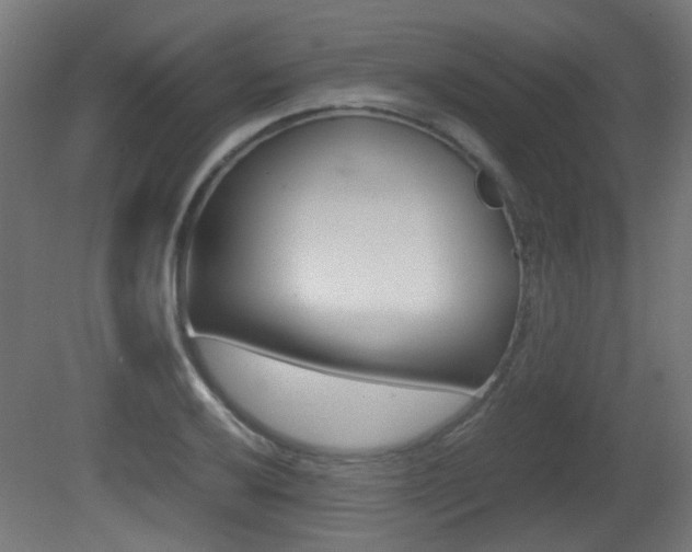 X0000081351032200701111100
