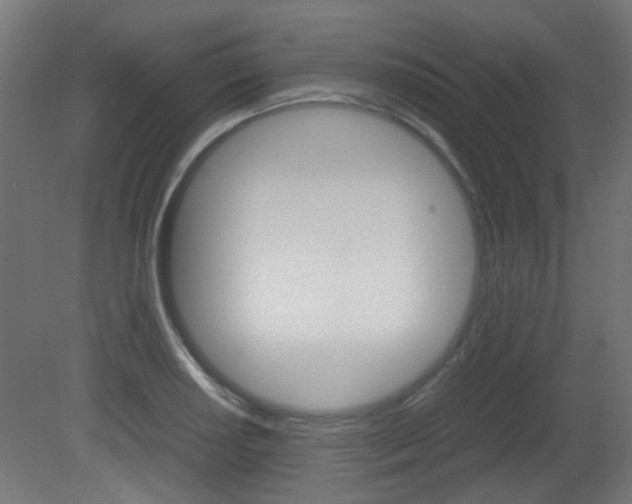 X0000081351034200701111100