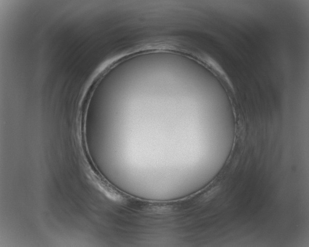 X0000081351035200701111101