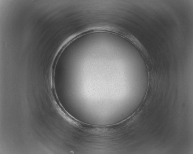 X0000081351036200701111101
