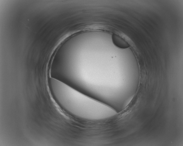X0000081351039200701111101