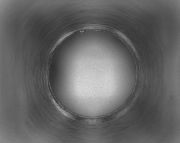 X0000081351041200701111101
