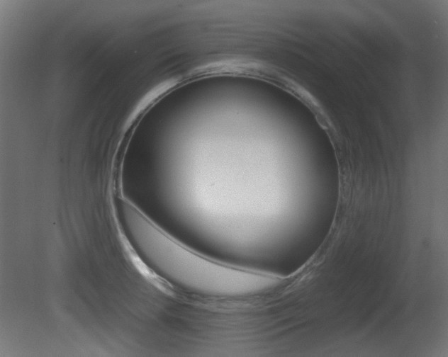 X0000081351042200701111101