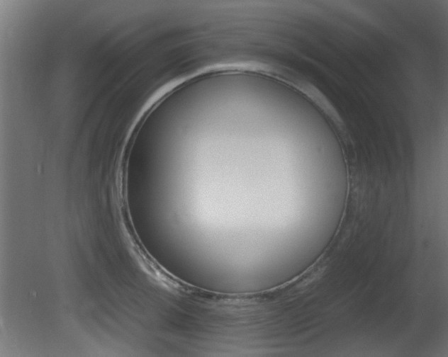X0000081351044200701111101
