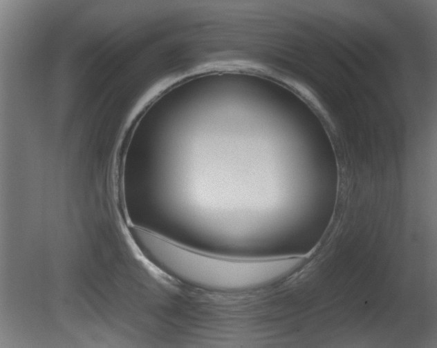 X0000081351046200701111101