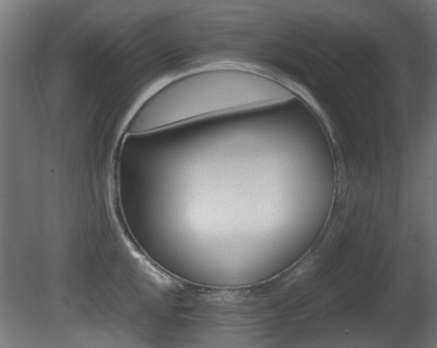 X0000081351048200701111101
