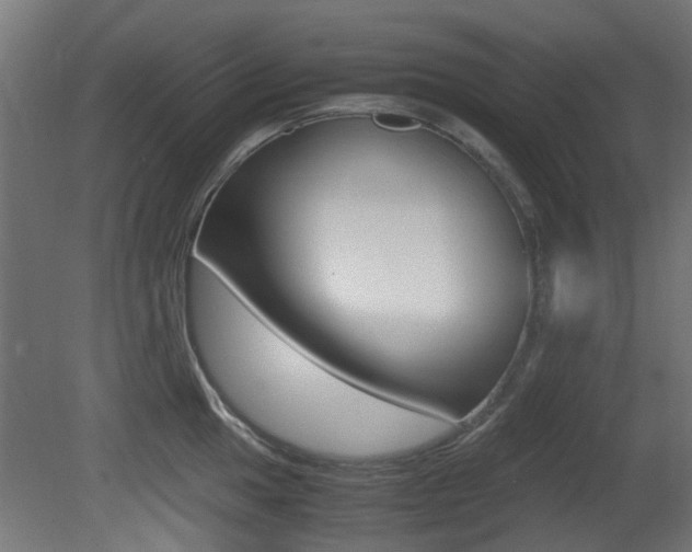 X0000081351049200701111101