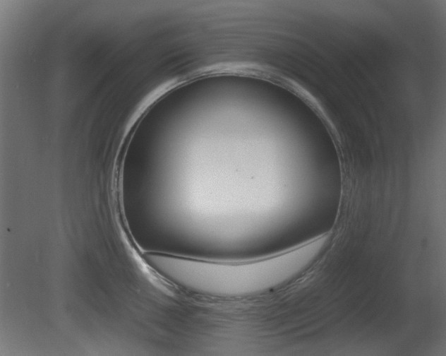 X0000081351050200701111101