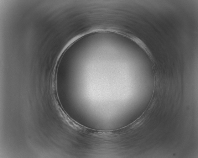X0000081351052200701111101
