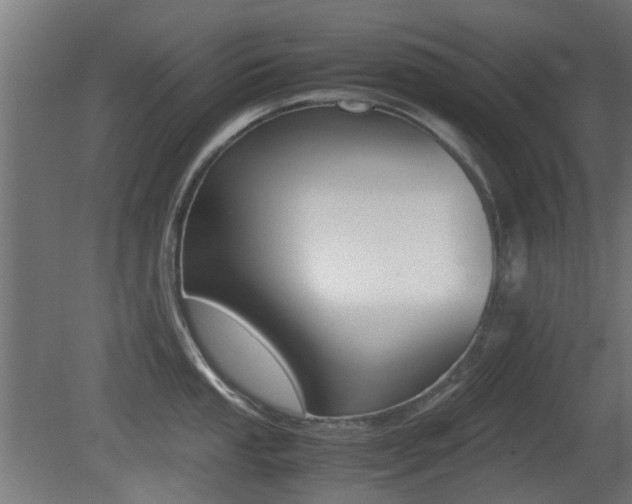 X0000081351053200701111101