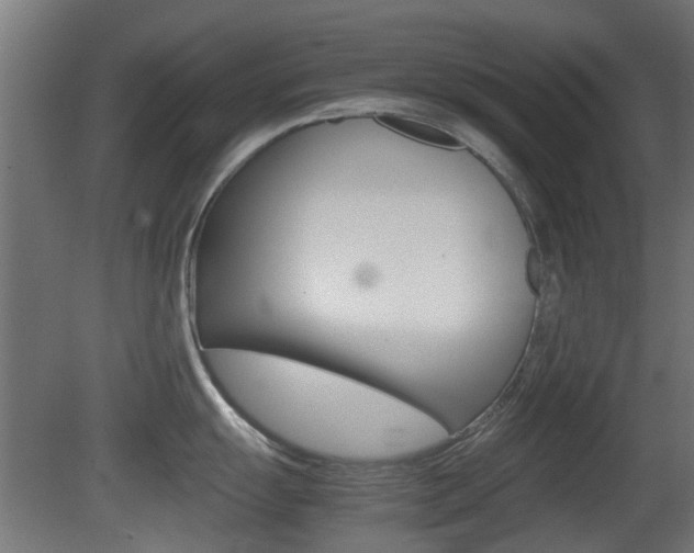 X0000081351055200701111101