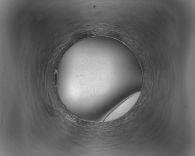 X0000081351057200701111100