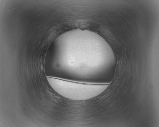 X0000081351058200701111100