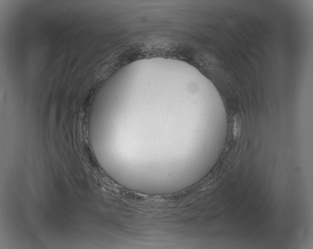 X0000081351059200701111100