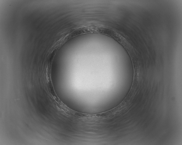 X0000081351060200701111100