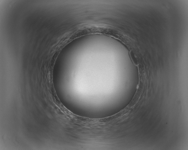 X0000081351061200701111100