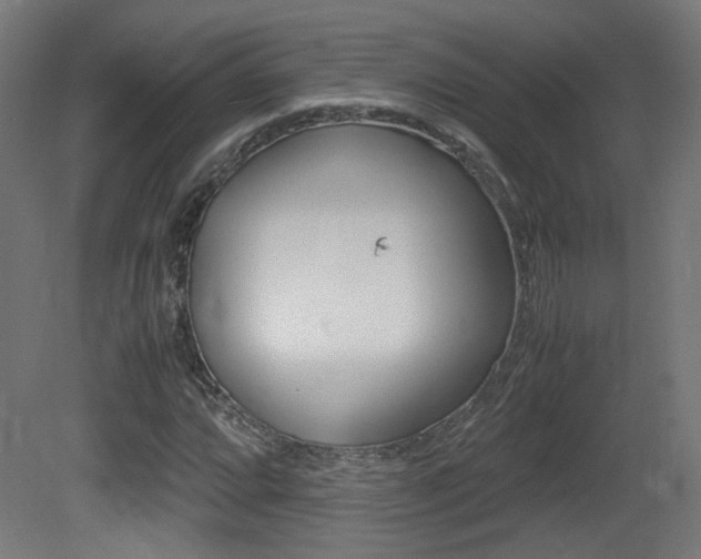 X0000081351064200701111100