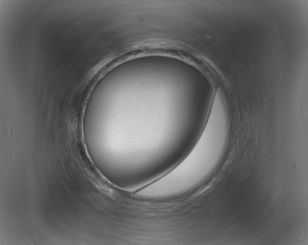 X0000081351065200701111100
