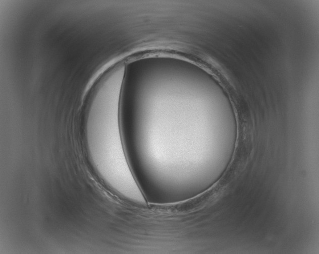 X0000081351069200701111100