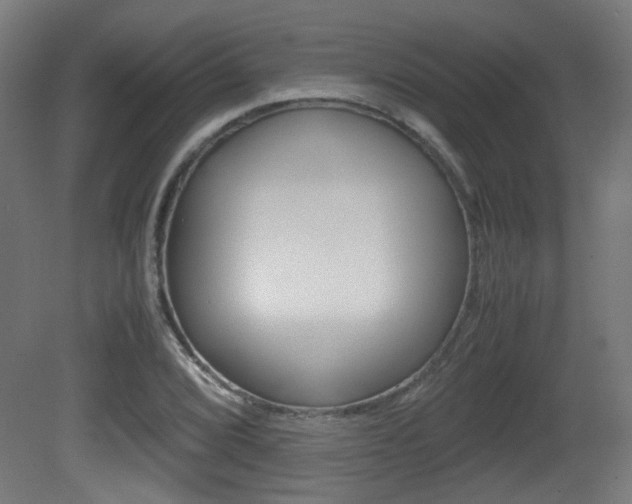 X0000081351072200701111100