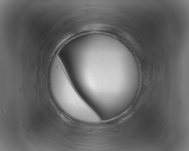 X0000081351073200701111100