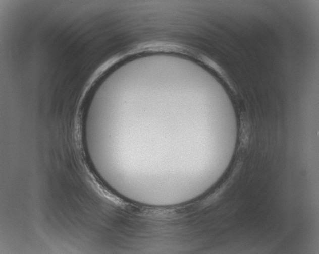 X0000081351074200701111100