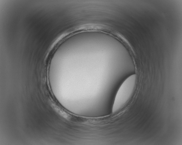 X0000081351075200701111100