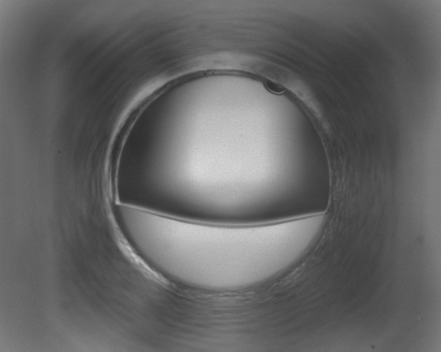 X0000081351080200701111100
