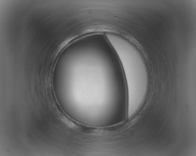 X0000081351081200701111100