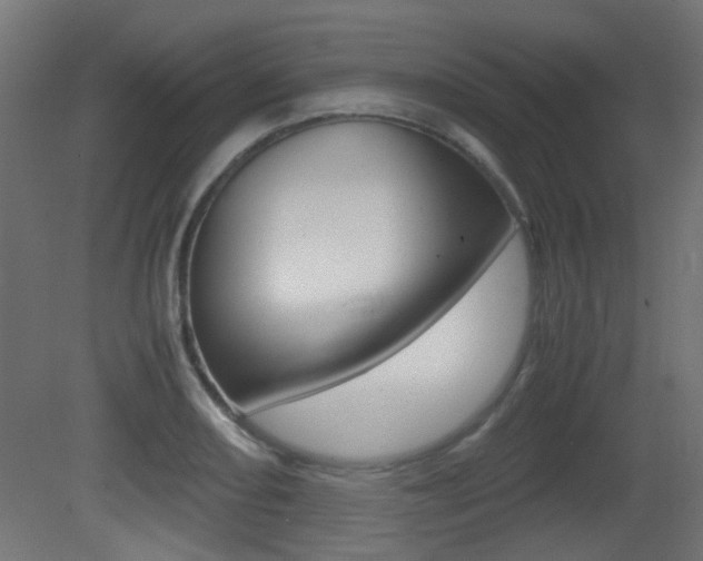 X0000081351082200701111100